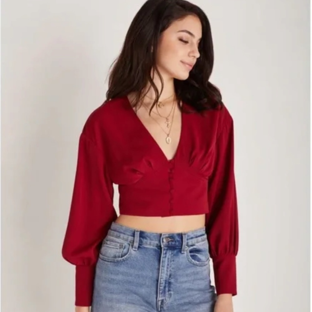 Backyard Roses Deep V Red Blouse